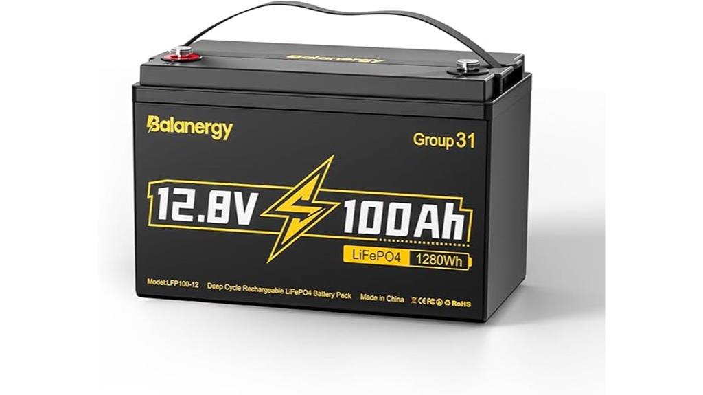 12 volt 100ah battery