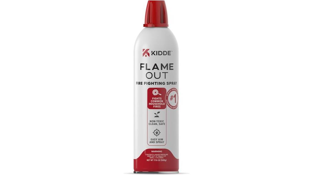 fire extinguisher spray 17 6 oz
