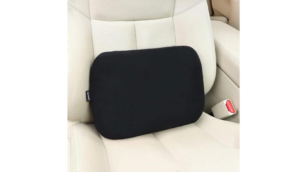 lumbar car office pillow