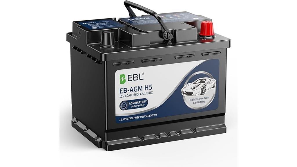 platinum agm battery