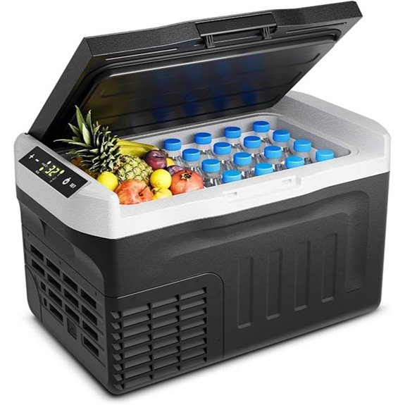 Portable 12V Car Fridge Cooler and Freezer