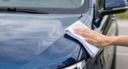 van finish preservation tips