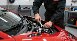 Lamborghini Surges In Global Coverage