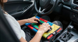 8 Best Vehicle Dashboard Organizers in 2026